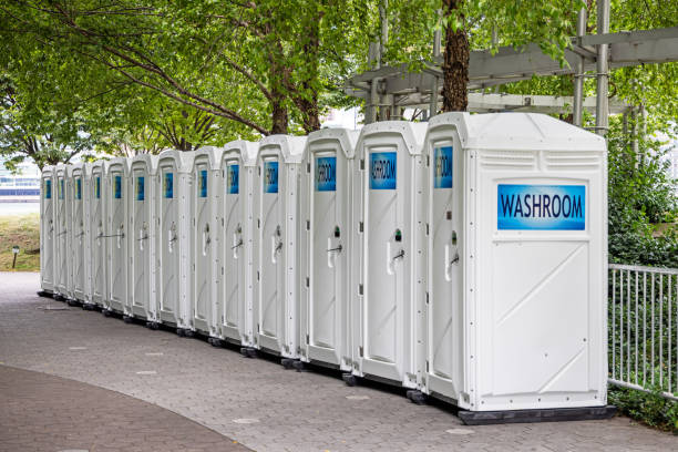 Best Porta potty rental near me  in Thief River Falls, MN