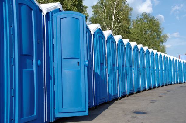 Best Best portable toilet rental  in Thief River Falls, MN